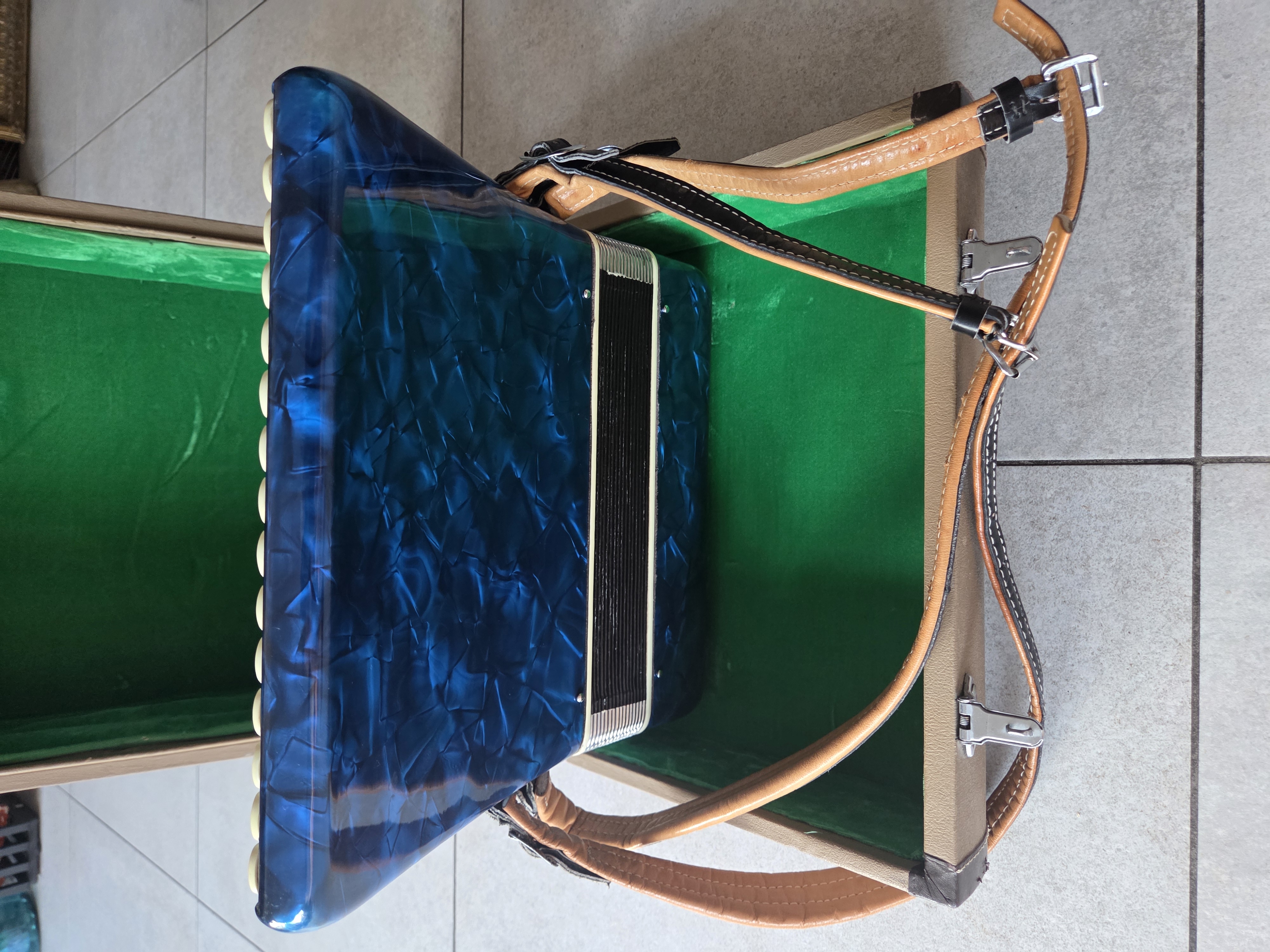 Parrot Accordeon - Blauw - 1 Toets mist plaatje