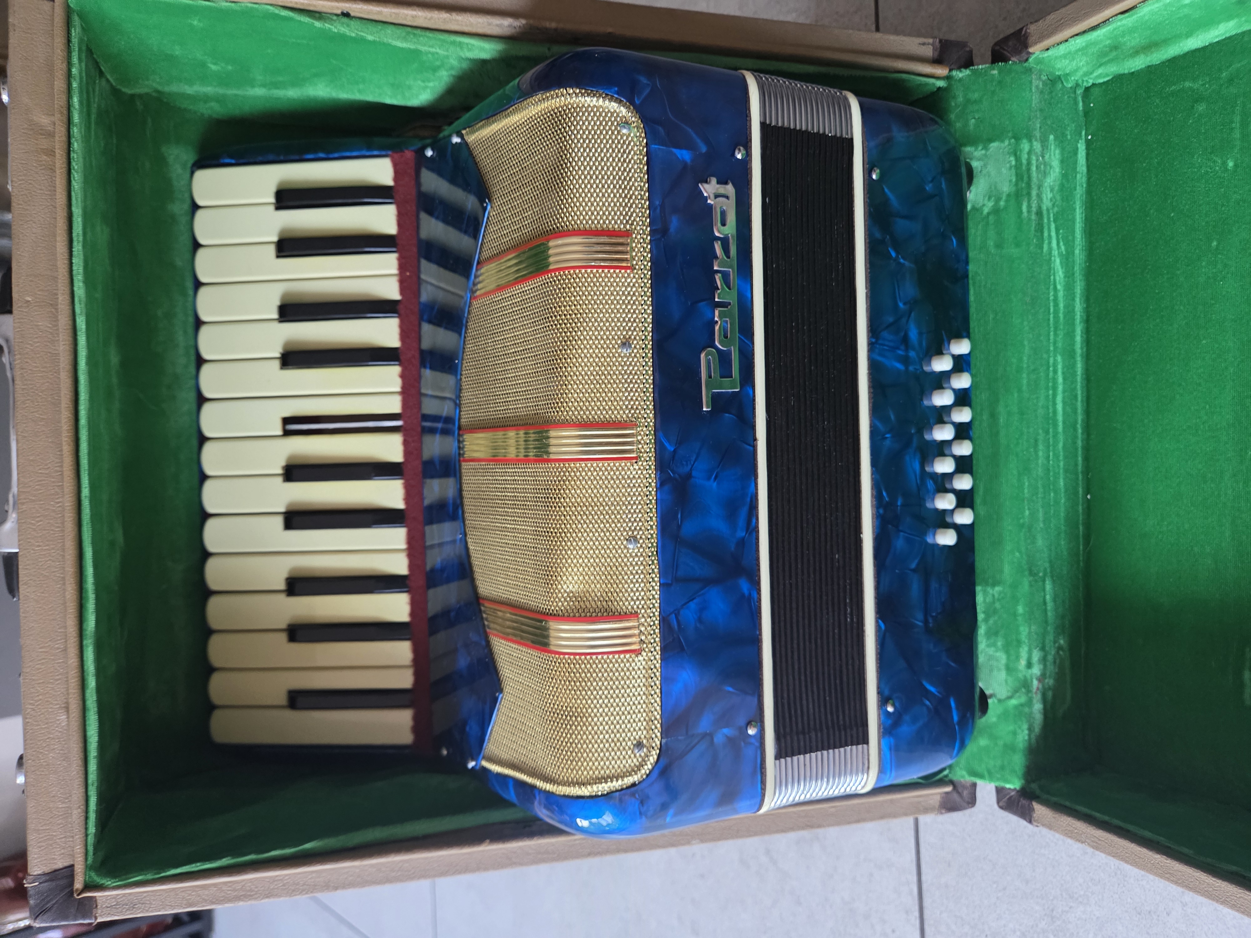 Parrot Accordeon - Blauw - 1 Toets mist plaatje