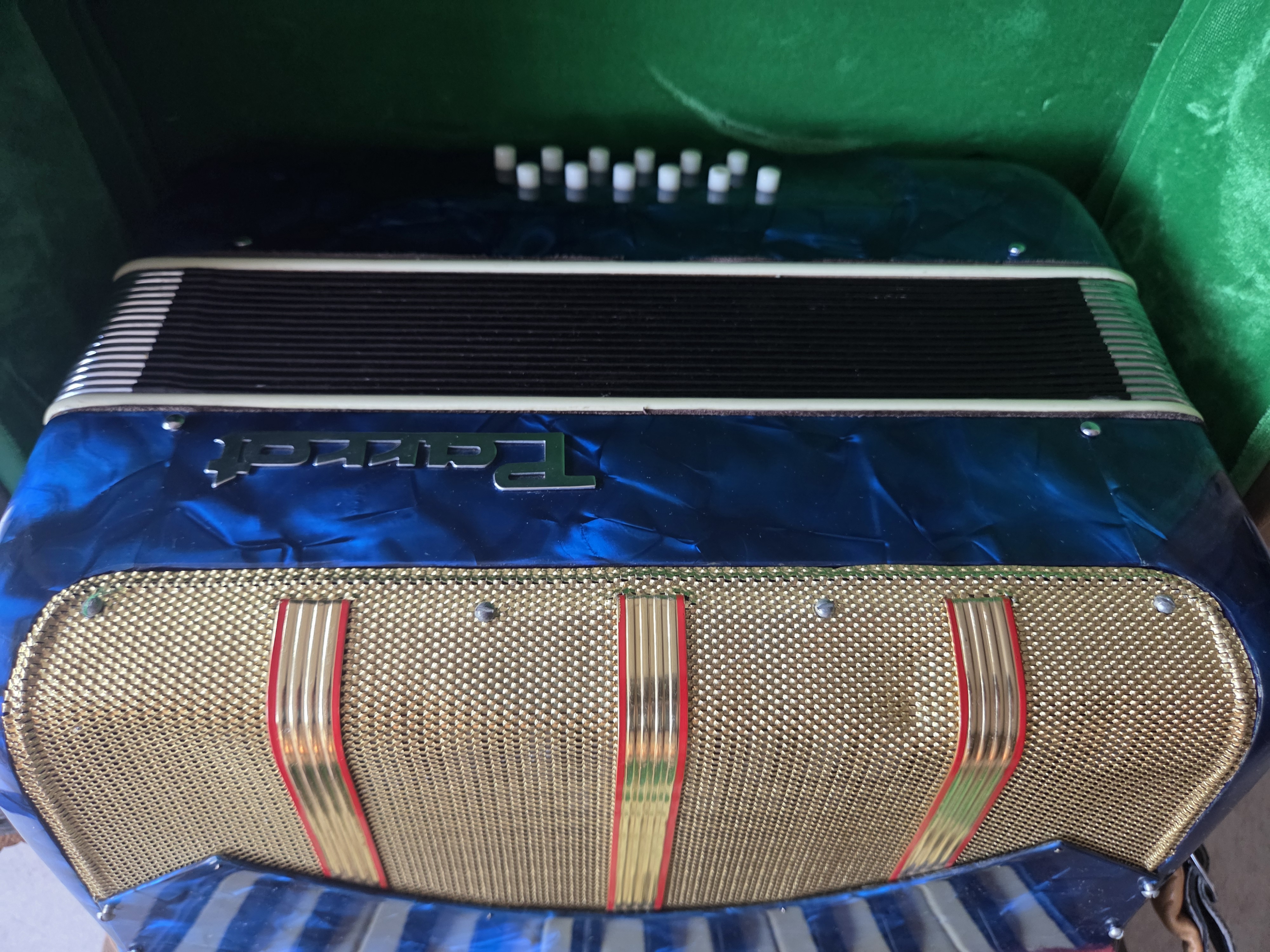 Parrot Accordeon - Blauw - 1 Toets mist plaatje