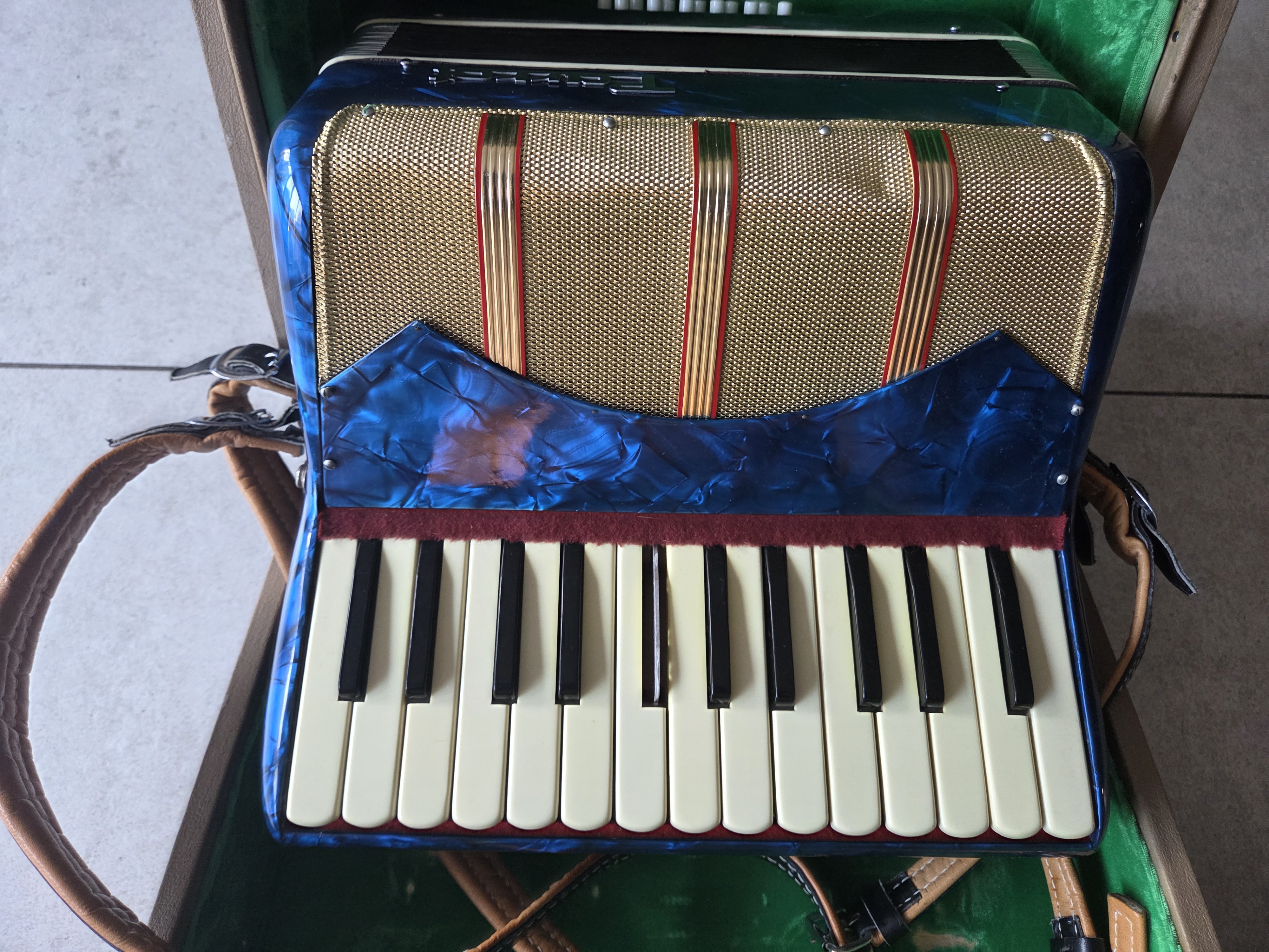 Parrot Accordeon - Blauw - 1 Toets mist plaatje