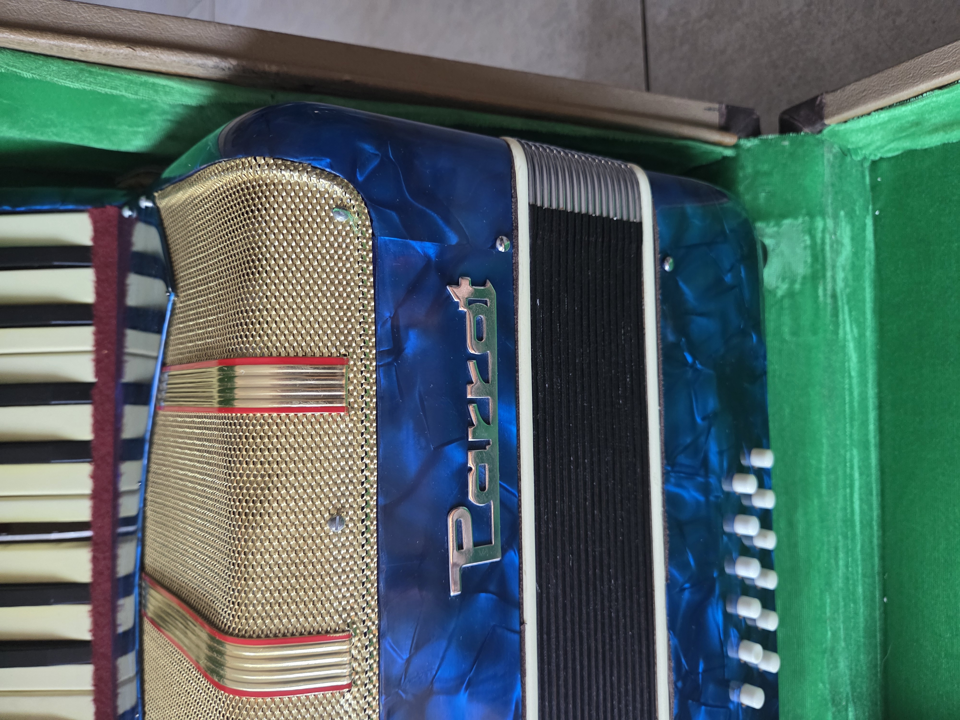 Parrot Accordeon - Blauw - 1 Toets mist plaatje