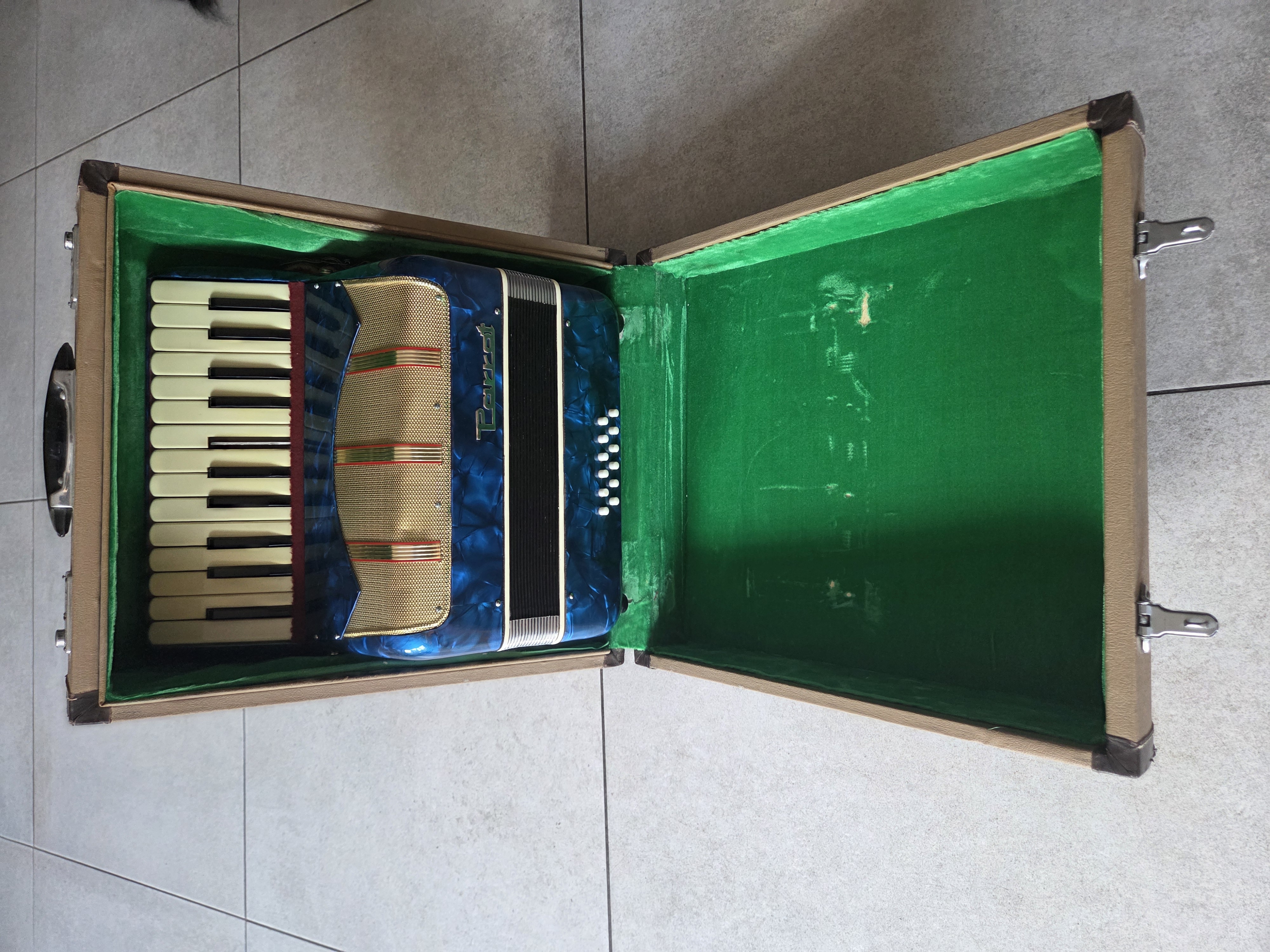 Parrot Accordeon - Blauw - 1 Toets mist plaatje